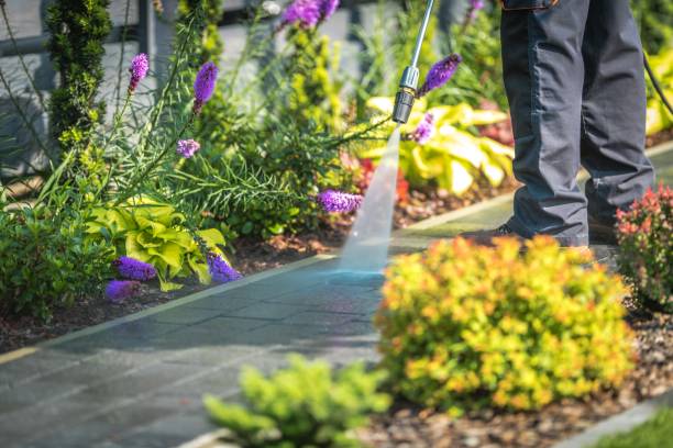 Best Spring Cleaning  in Sealy, TX