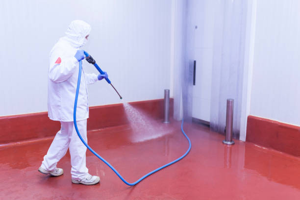 Best Building Exterior Washing  in Sealy, TX