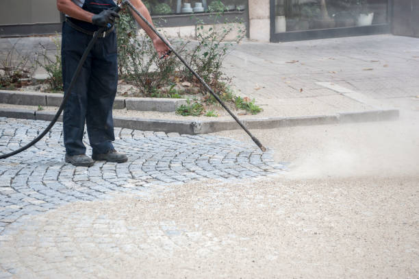 Best Sign and Awning Cleaning  in Sealy, TX
