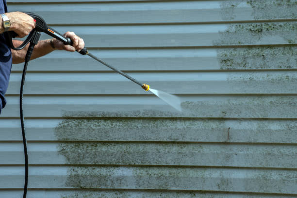 Best Restaurant Pressure Washing  in Sealy, TX